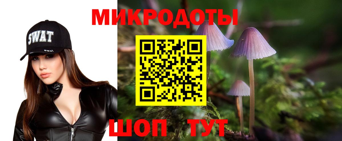 Псилоцибиновые грибы Psilocybe Краснокамск